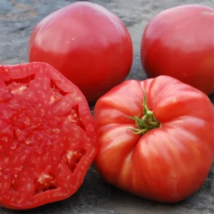 Beefsteak Tomato Seeds