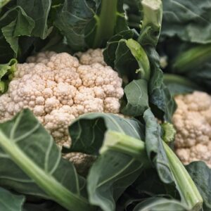 Cauliflower Seeds