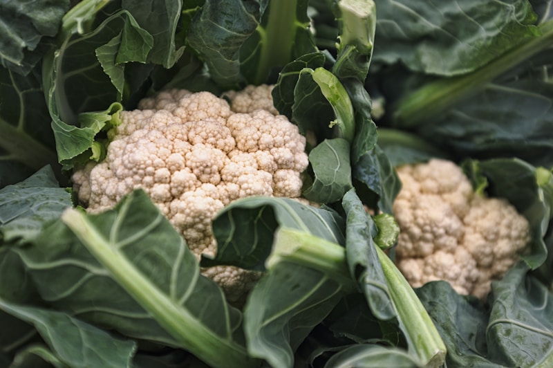Cauliflower Seeds