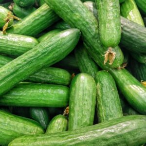 Cucumber Seeds - Burpless