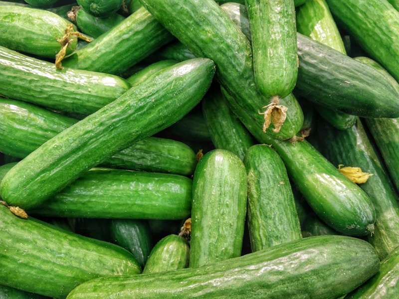 Cucumber Seeds - Burpless