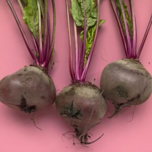 Parsley Seeds - Italian Flat Leaf