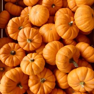 Pumpkin Seeds - Jamaican