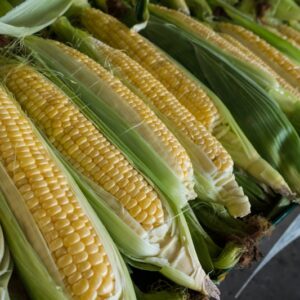 Sweet Corn Seeds - Golden Bantam
