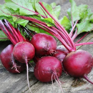 Beetroot Seeds - Detroit Dark Red