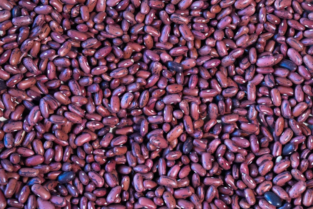 Red Peas Seeds (Kidney Beans)